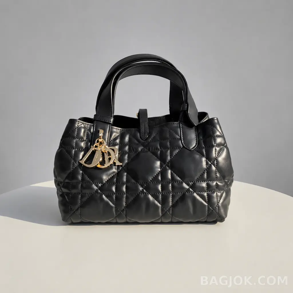 디올 디올 뚜주흐백 스몰 상세 이미지