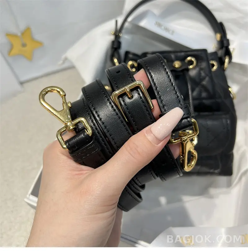 디올 디올 카로 나노 버킷백 상세 이미지