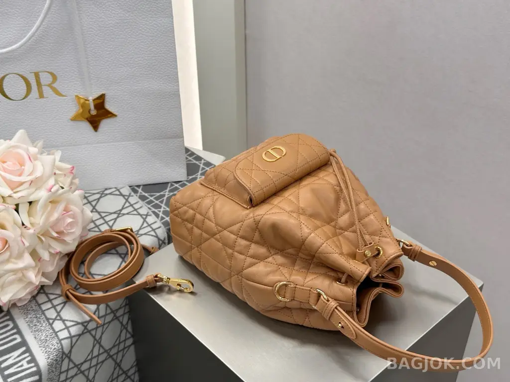 디올 디올 카로 스몰 버킷백 상세 이미지
