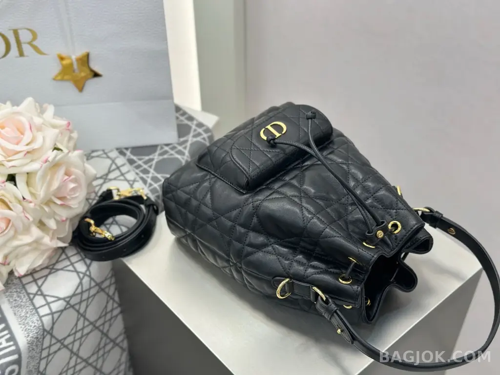 디올 디올 카로 스몰 버킷백 상세 이미지