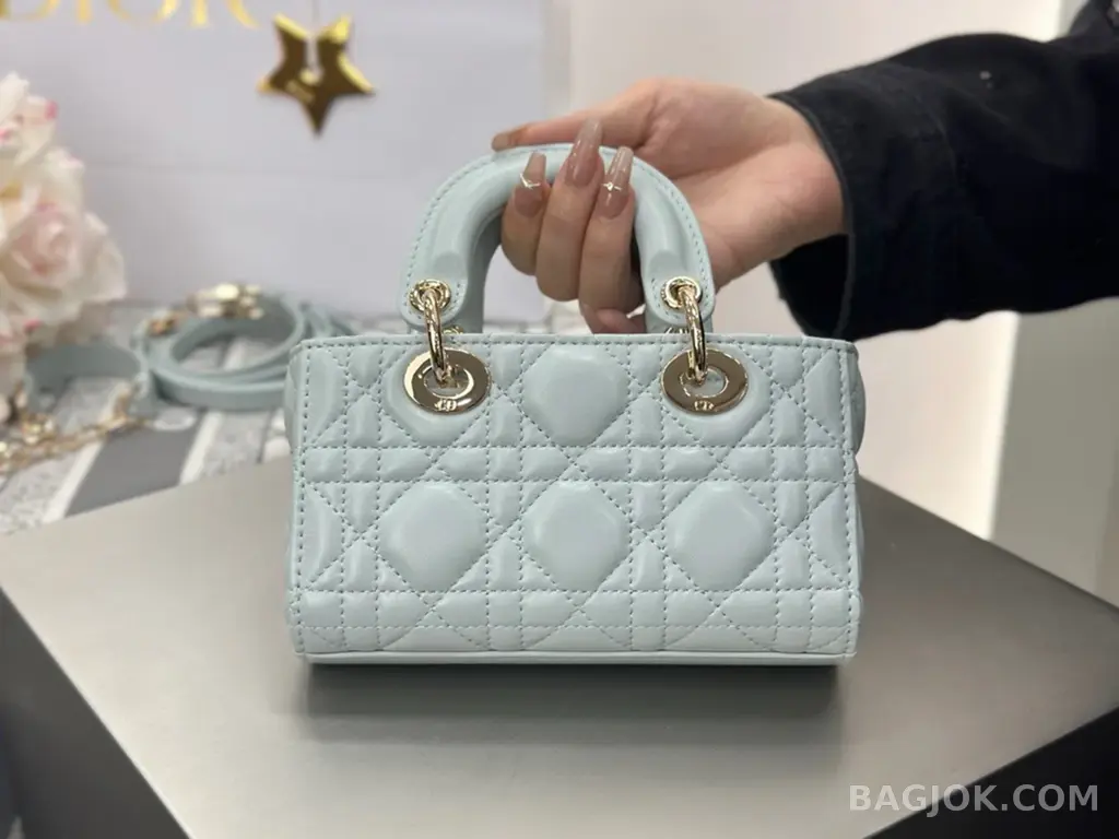디올 디올 디 조이백 미니 상세 이미지