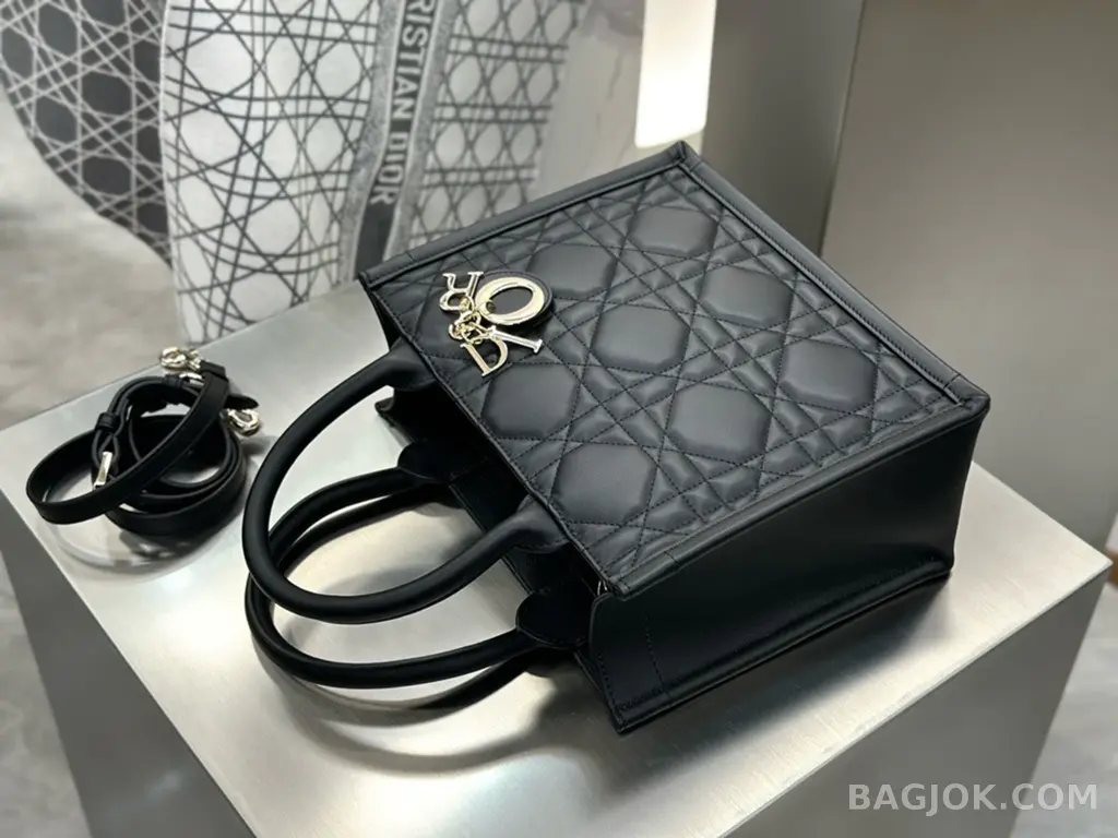 디올 디올 매크로까나쥬 북 토트백 스몰 상세 이미지
