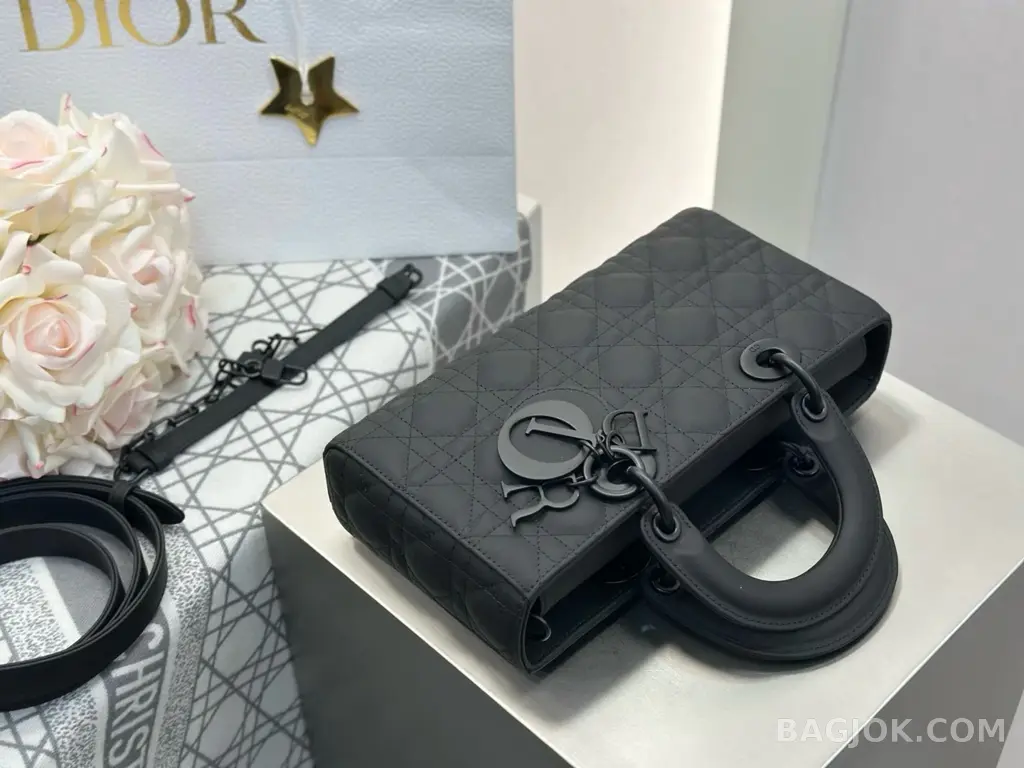 디올 디올 울트라 매트 디 조이백 미디움 상세 이미지