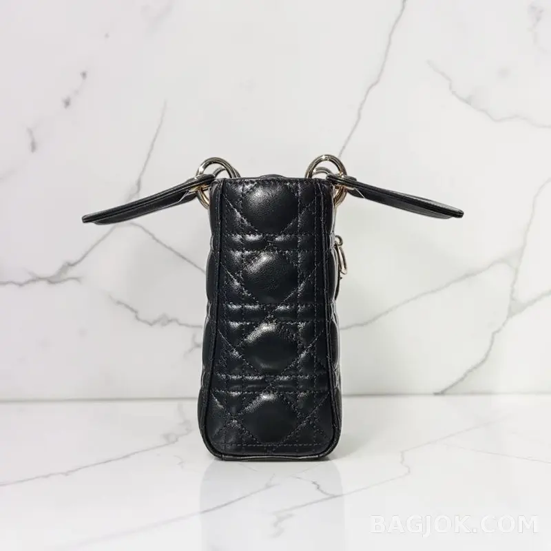 디올 디올 레이디백 스몰 (램스킨) 상세 이미지
