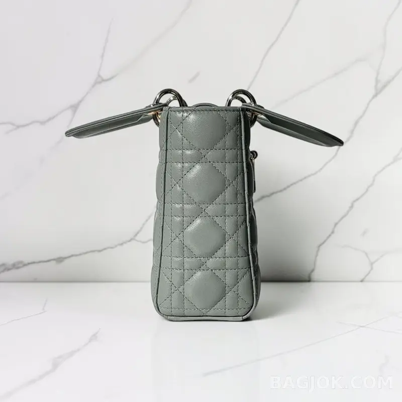디올 디올 레이디백 스몰 (램스킨) 상세 이미지