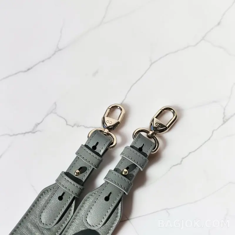 디올 디올 레이디백 스몰 (램스킨) 상세 이미지