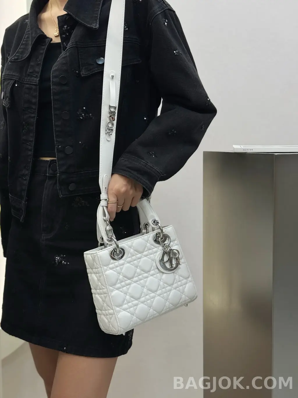 디올 디올 레이디백 스몰 (램스킨) 상세 이미지