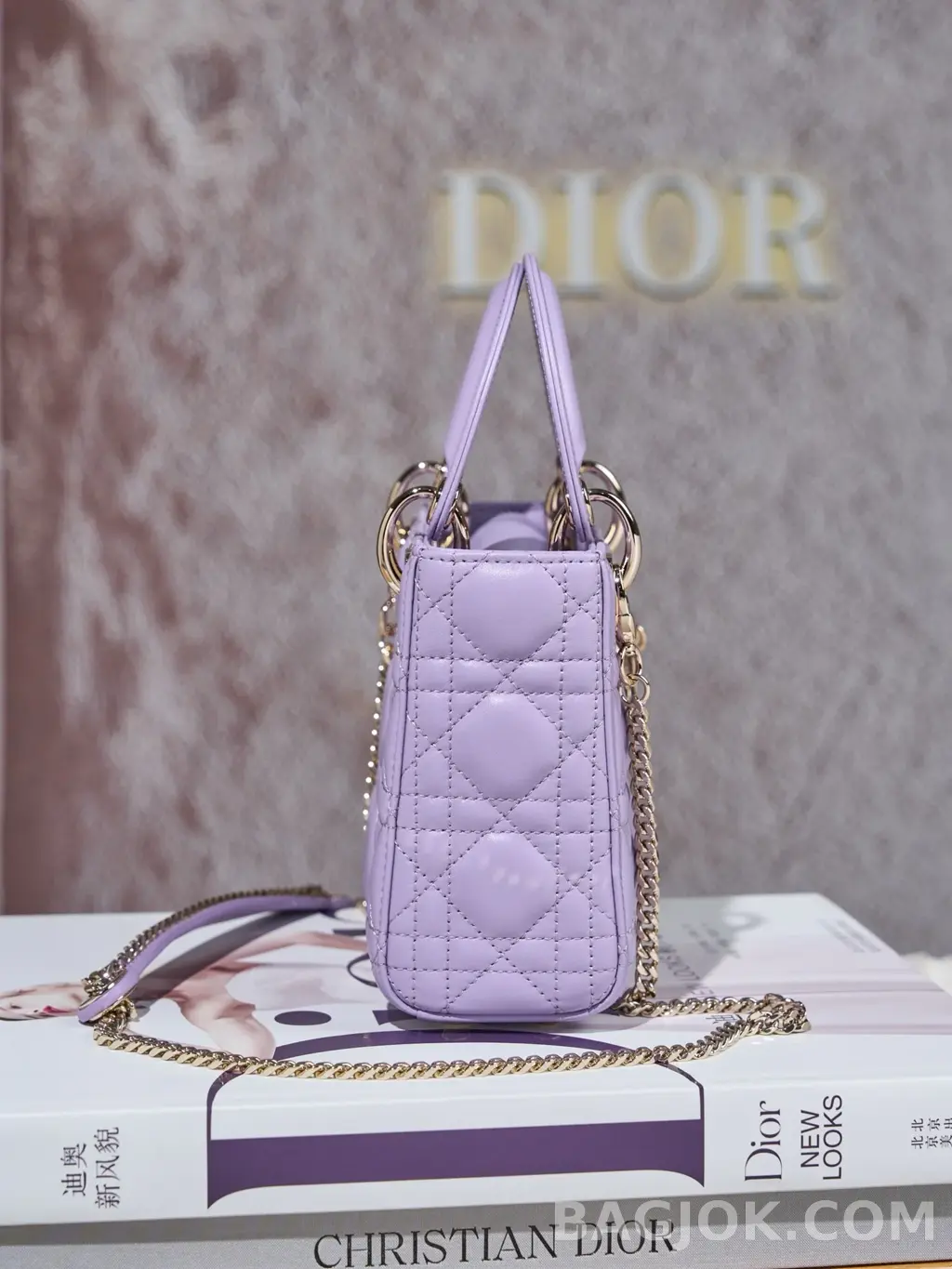 디올 디올 레이디백 미니 (램스킨/금장) 상세 이미지