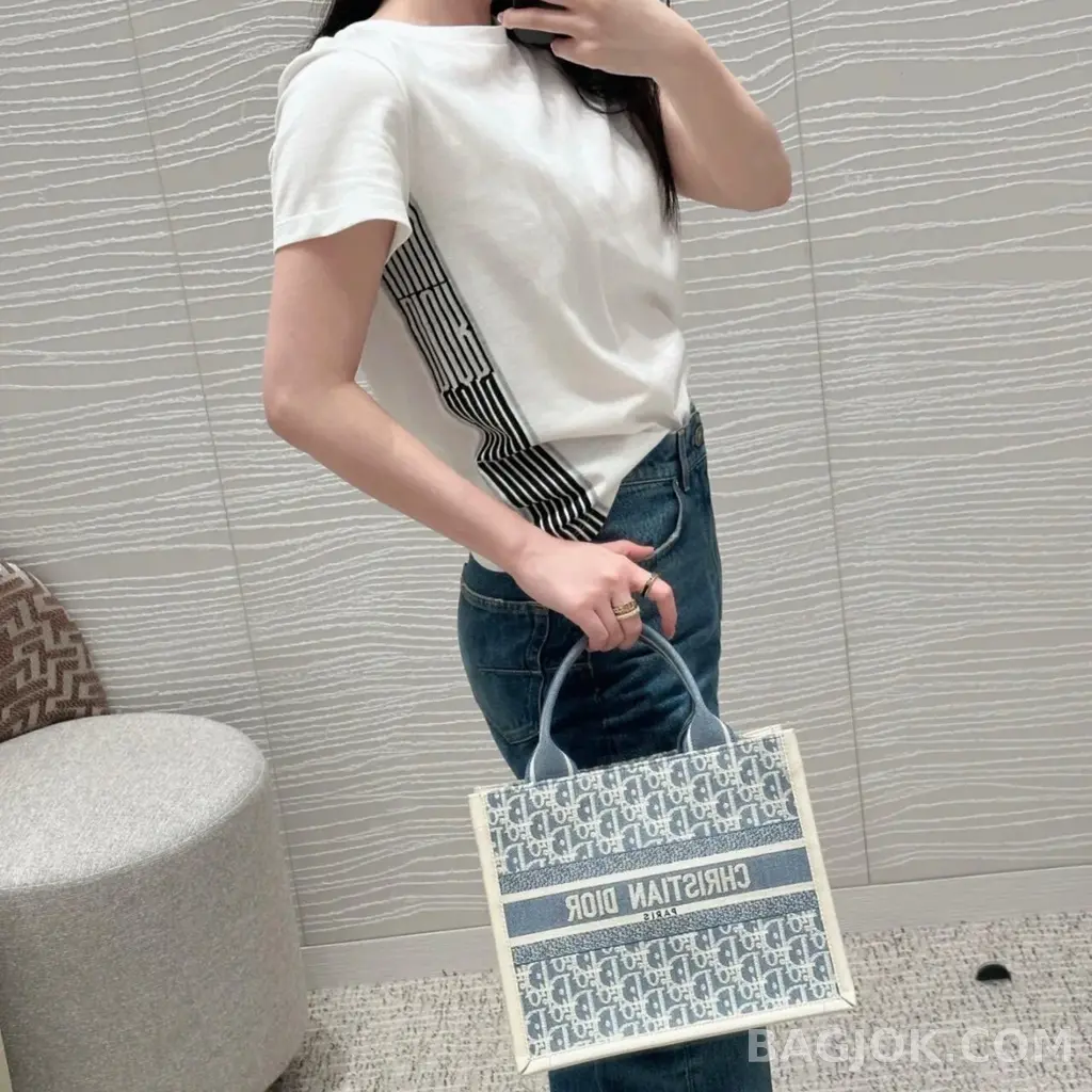 디올 디올 오블리크 샴브레이 북 토트백 스몰 상세 이미지