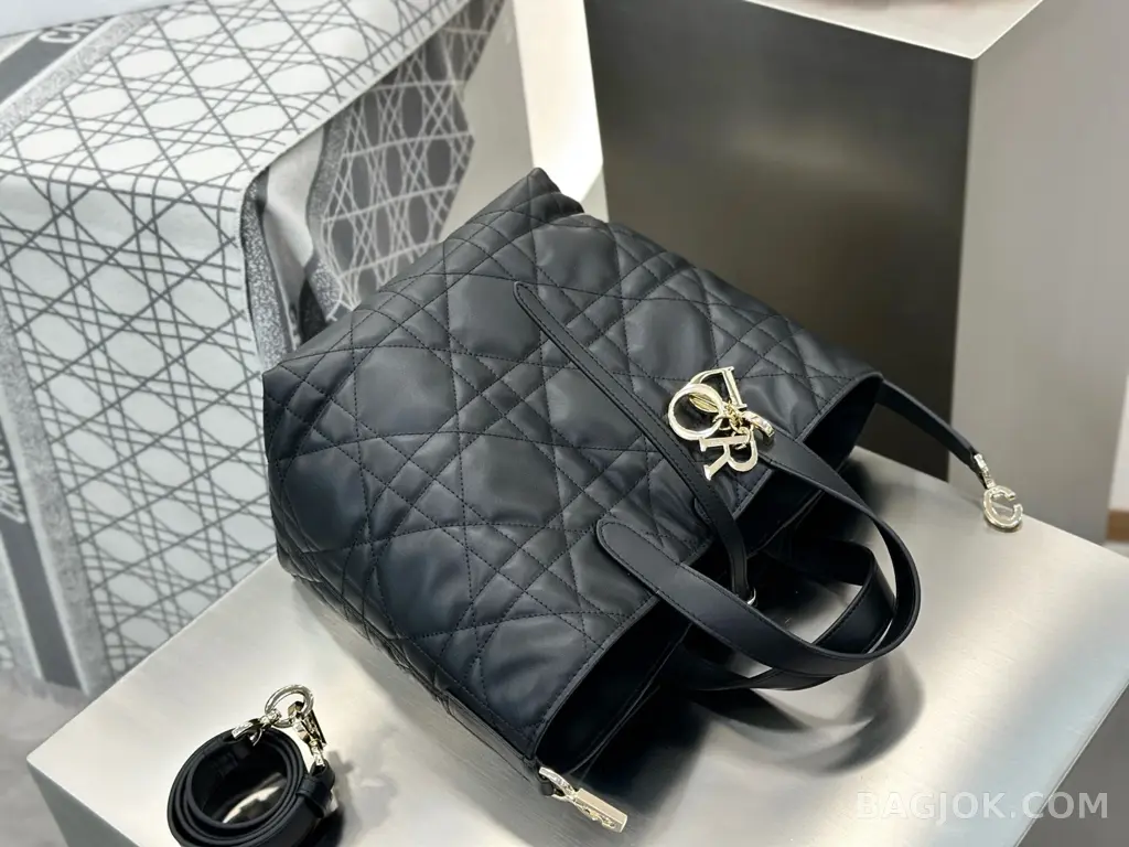 디올 디올 버티컬 뚜주흐백 미디움 상세 이미지