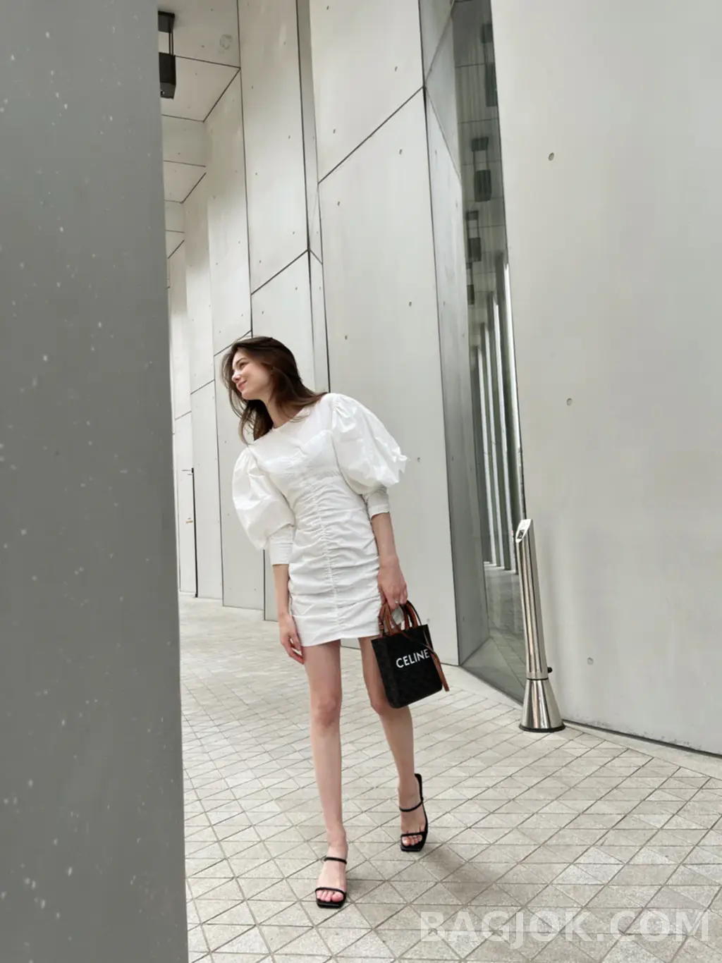 셀린느 CEL 미니 버티컬 카바스백 캔버스 상세 이미지