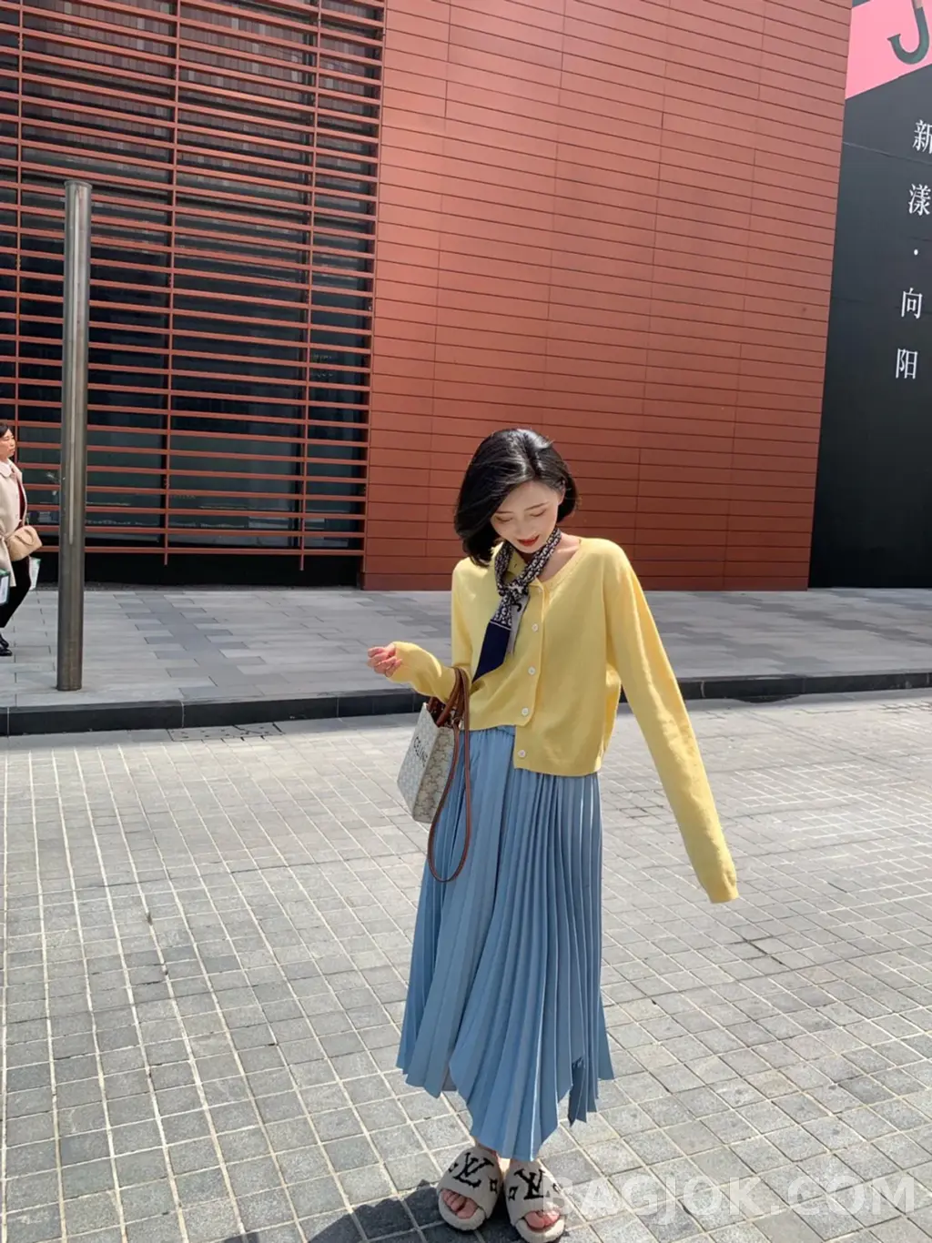 셀린느 CEL 미니 버티컬 카바스백 캔버스 상세 이미지