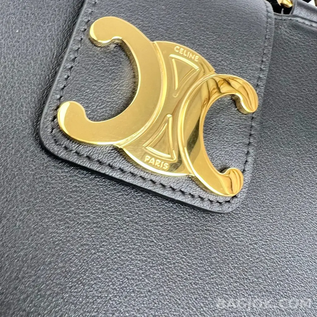 셀린느 CELINE 아폴린 백 미디움 상세 이미지