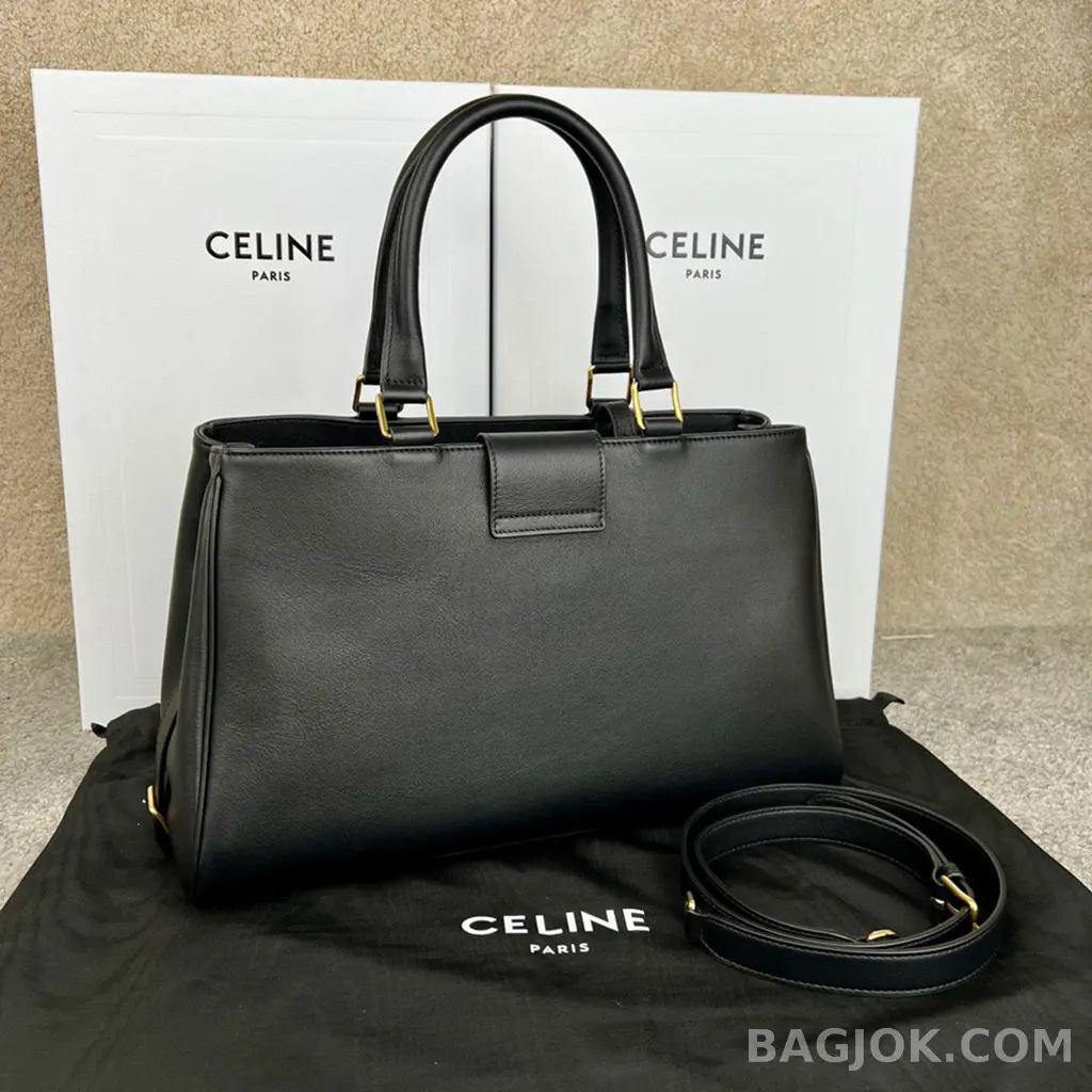 셀린느 CELINE 아폴린 백 미디움 상세 이미지