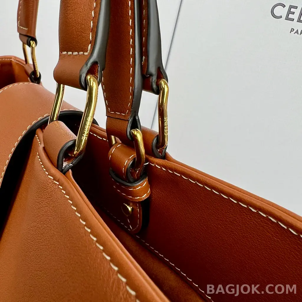 셀린느 CELINE 아폴린 백 미디움 상세 이미지