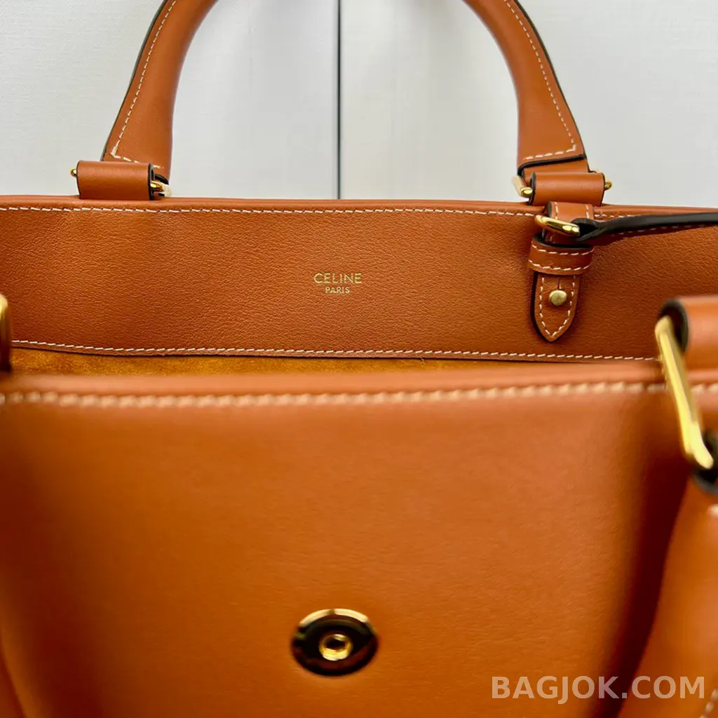 셀린느 CELINE 아폴린 백 미디움 상세 이미지