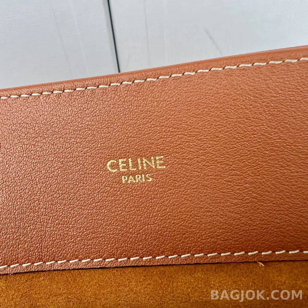 셀린느 CELINE 아폴린 백 미디움 상세 이미지