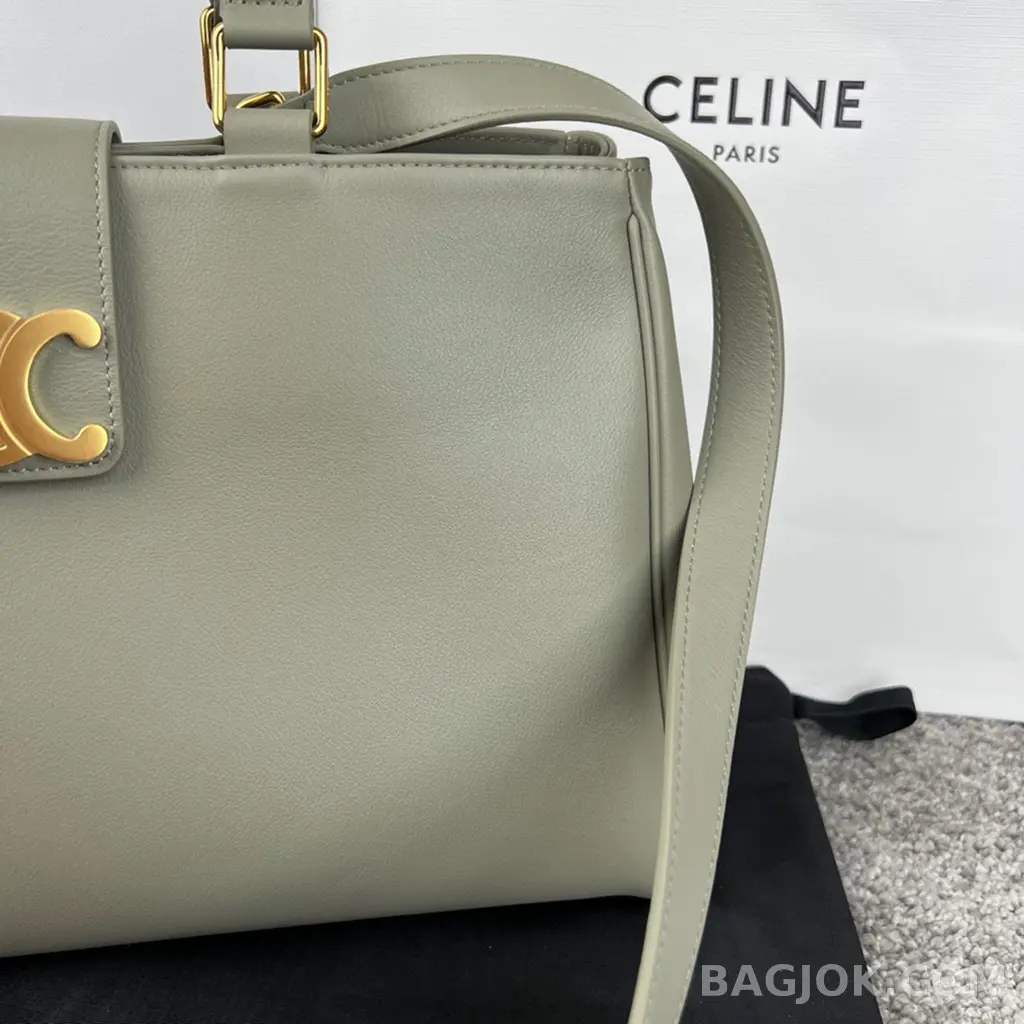 셀린느 CELINE 아폴린 백 미디움 상세 이미지