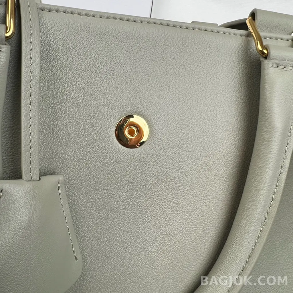 셀린느 CELINE 아폴린 백 미디움 상세 이미지