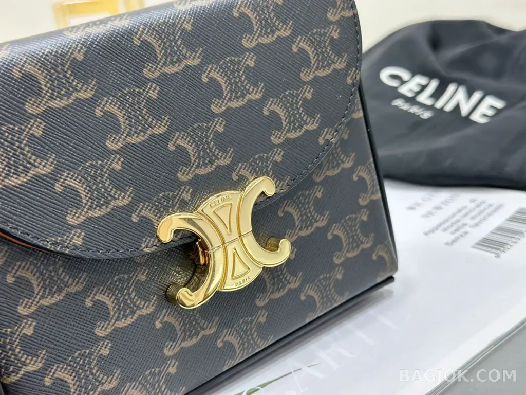 셀린느 CELINE 트리옹프 블랑딘 박스백 캔버스 스몰 상세 이미지