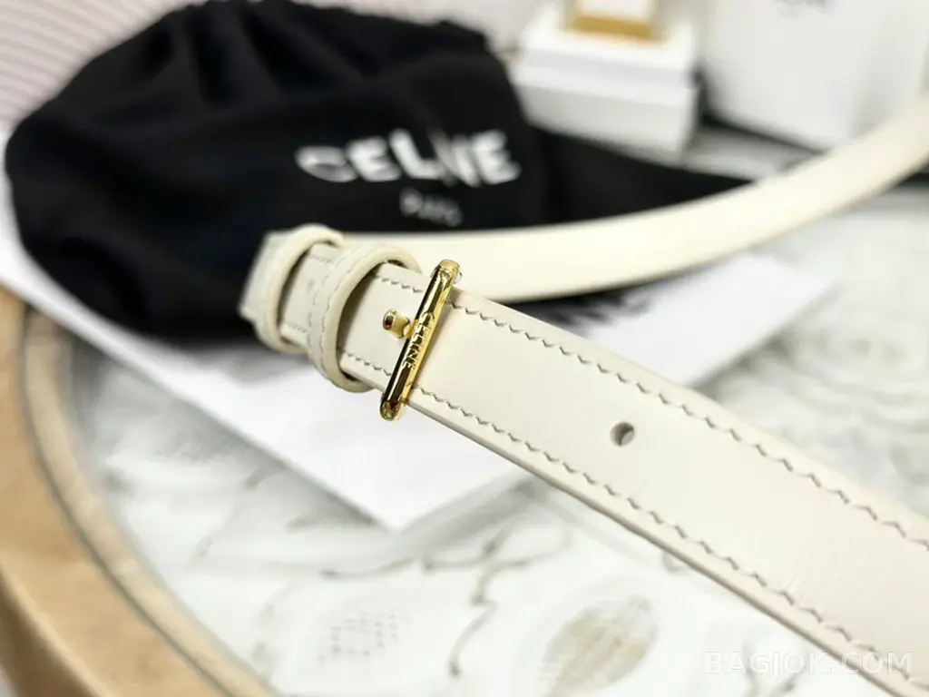 셀린느 CELINE 트리옹프 숄더백 틴 상세 이미지