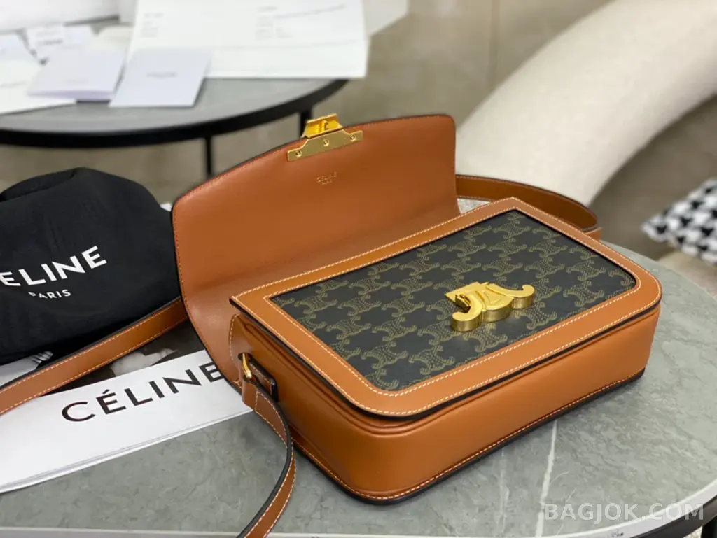 셀린느 CELINE 트리옹프 숄더백 캔버스 미디움 상세 이미지