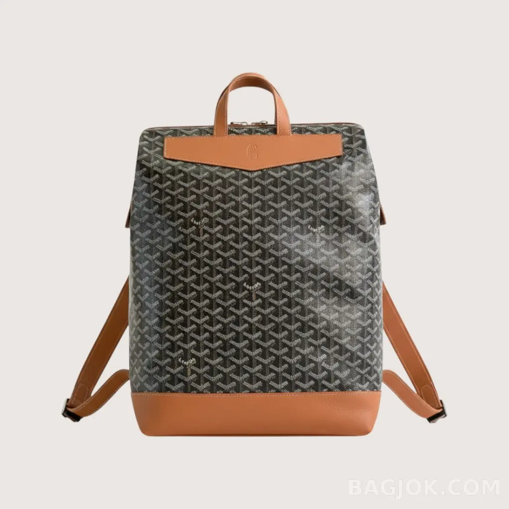 GOYARD 시스알팡 백팩_대표이미지