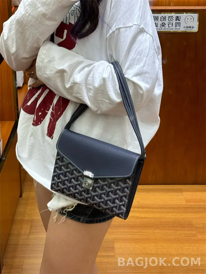 고야드 GOYARD 시프레 핸드&크로스백(2024) 상세 이미지