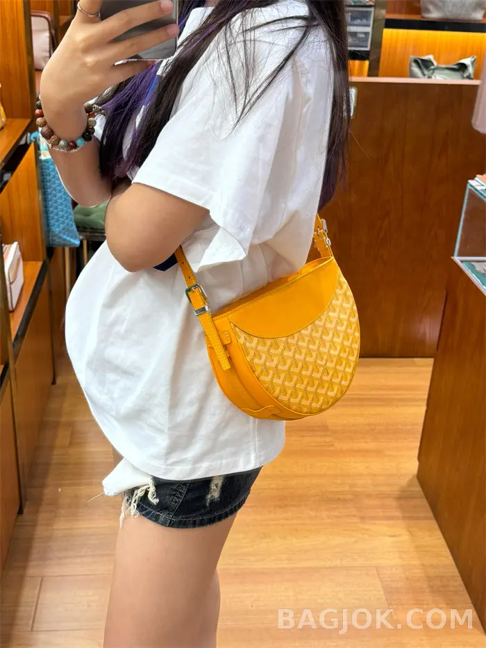 고야드 GOYARD 히론델 백 상세 이미지
