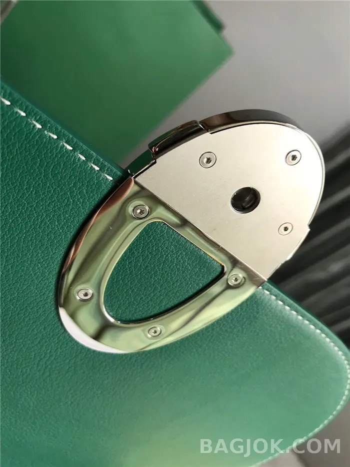 고야드 GOYARD 캔버스 233 숄더백 상세 이미지