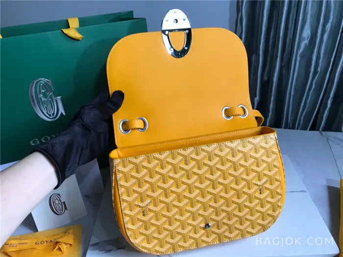 고야드 GOYARD 캔버스 233 숄더백 상세 이미지