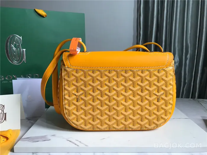 고야드 GOYARD 캔버스 233 숄더백 상세 이미지