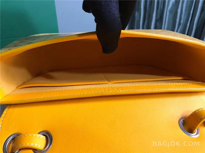 고야드 GOYARD 캔버스 233 숄더백 상세 이미지