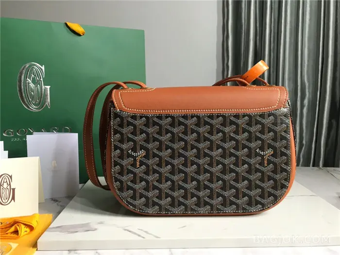 고야드 GOYARD 캔버스 233 숄더백 상세 이미지