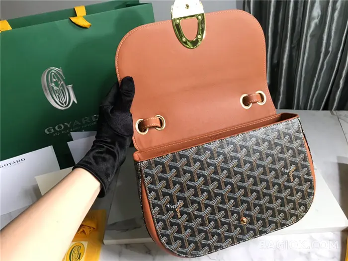 고야드 GOYARD 캔버스 233 숄더백 상세 이미지