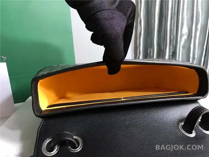 고야드 GOYARD 캔버스 233 숄더백 상세 이미지