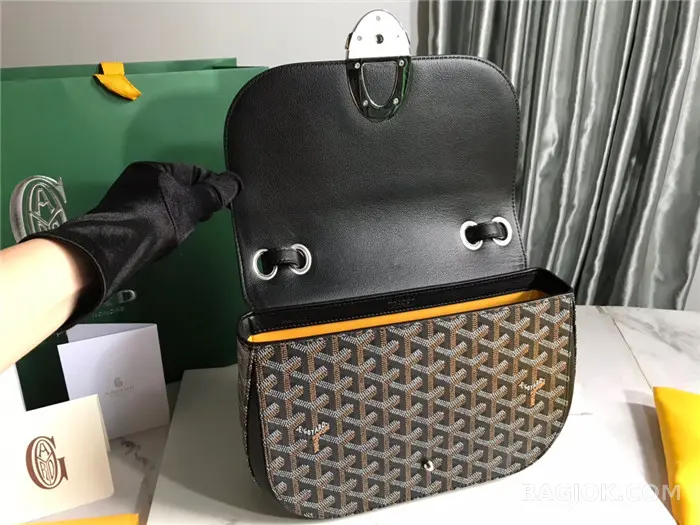 고야드 GOYARD 캔버스 233 숄더백 상세 이미지