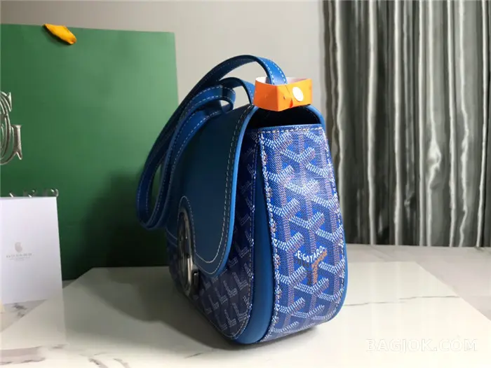 고야드 GOYARD 캔버스 233 숄더백 상세 이미지