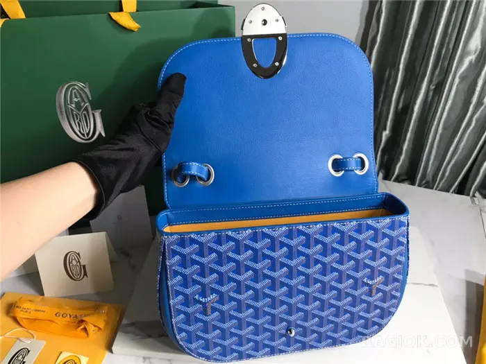 고야드 GOYARD 캔버스 233 숄더백 상세 이미지