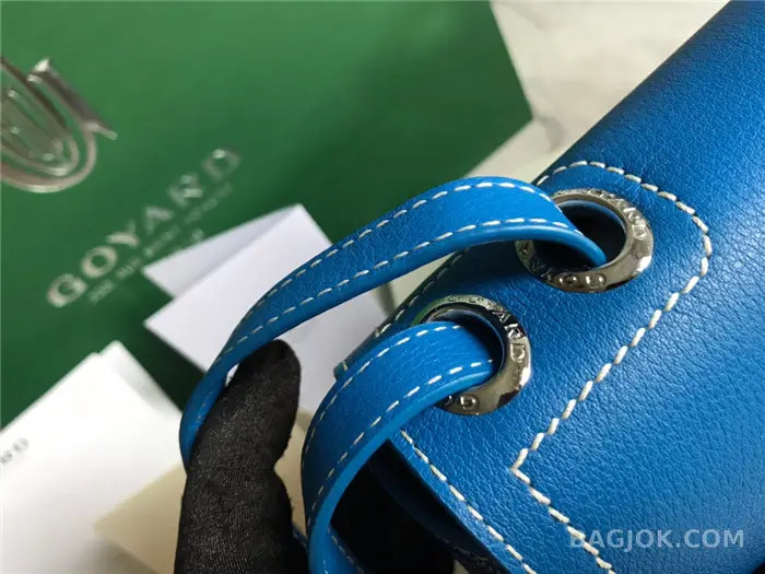 고야드 GOYARD 캔버스 233 숄더백 상세 이미지