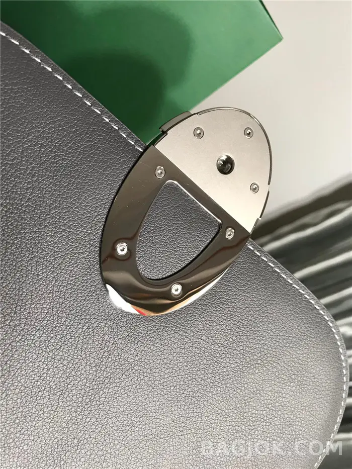고야드 GOYARD 캔버스 233 숄더백 상세 이미지