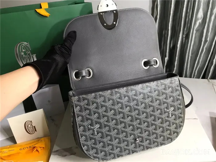 고야드 GOYARD 캔버스 233 숄더백 상세 이미지