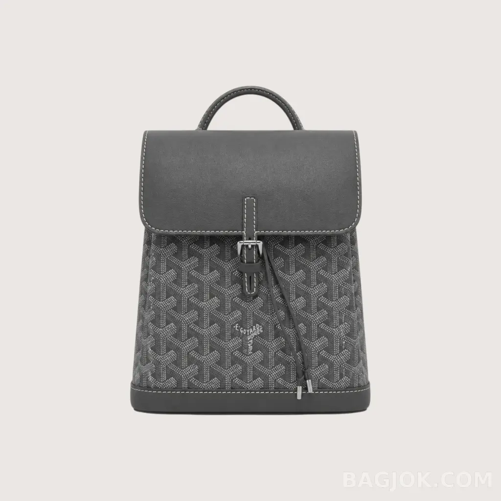 GOYARD 알팡 백팩 미니_대표이미지