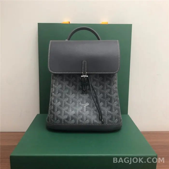 고야드 GOYARD 알팡 백팩 미니 상세 이미지
