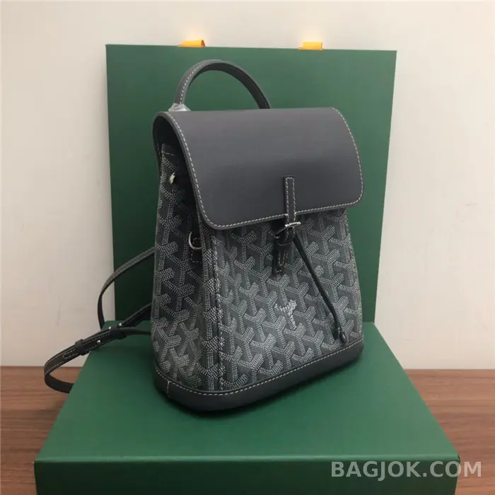고야드 GOYARD 알팡 백팩 미니 상세 이미지