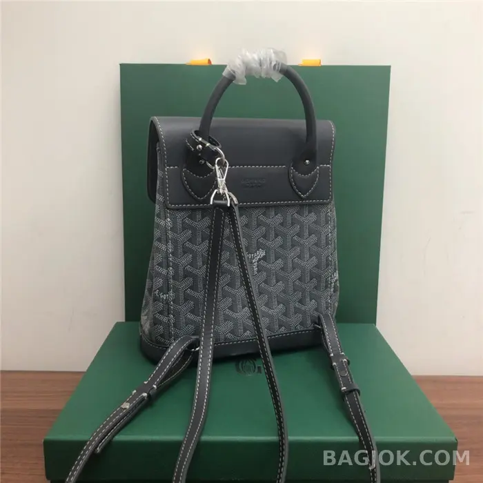 고야드 GOYARD 알팡 백팩 미니 상세 이미지