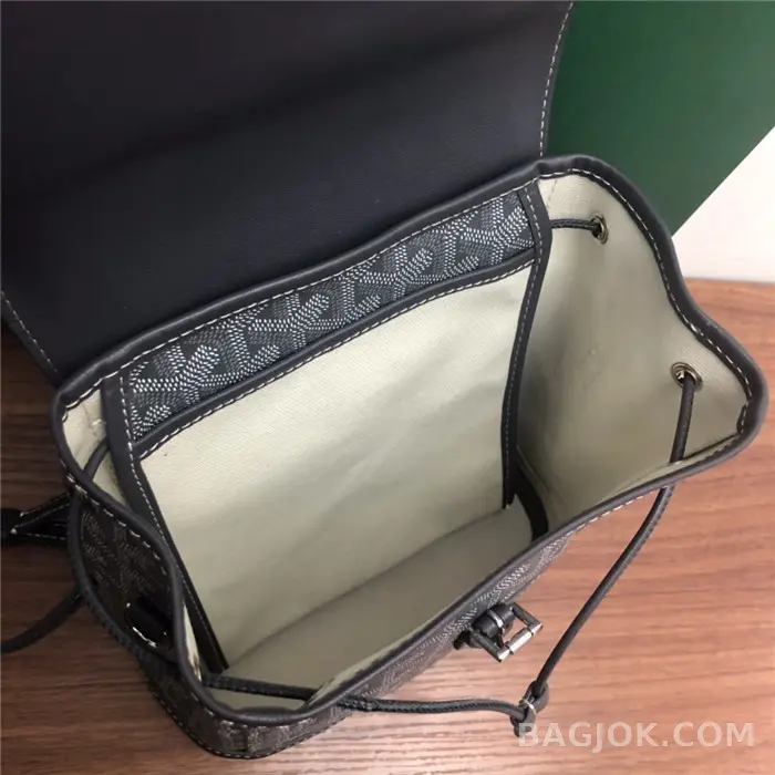 고야드 GOYARD 알팡 백팩 미니 상세 이미지