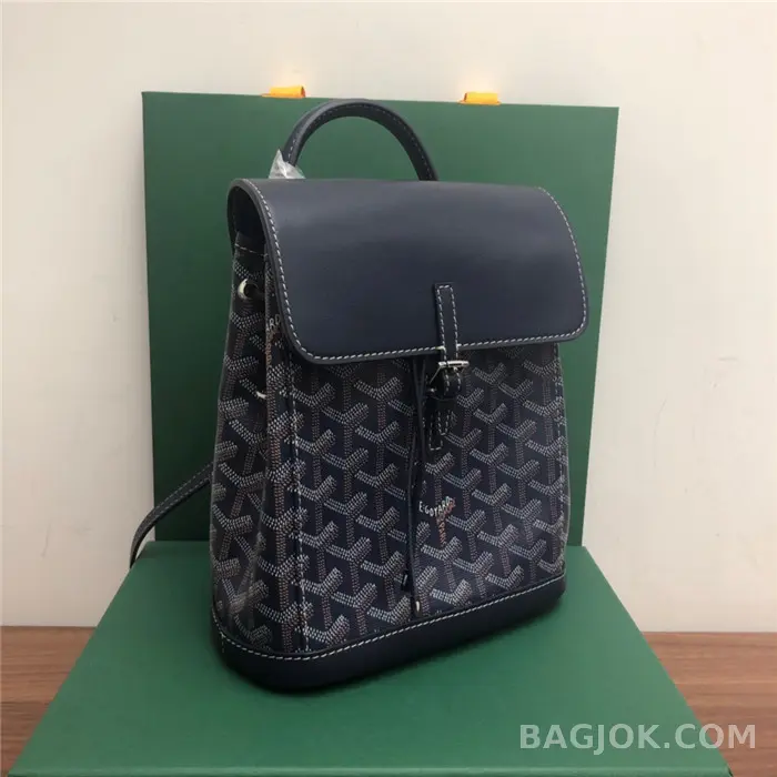 고야드 GOYARD 알팡 백팩 미니 상세 이미지