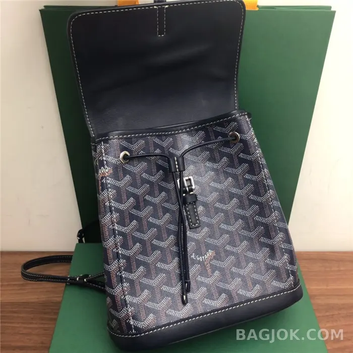 고야드 GOYARD 알팡 백팩 미니 상세 이미지