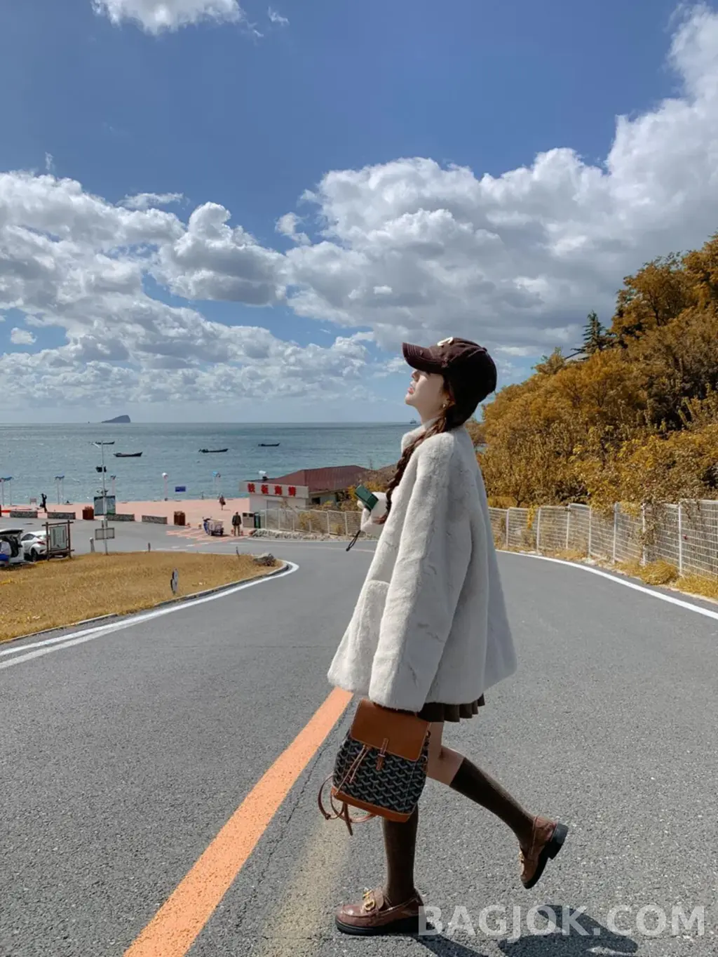 고야드 GOYARD 알팡 백팩 미니 상세 이미지